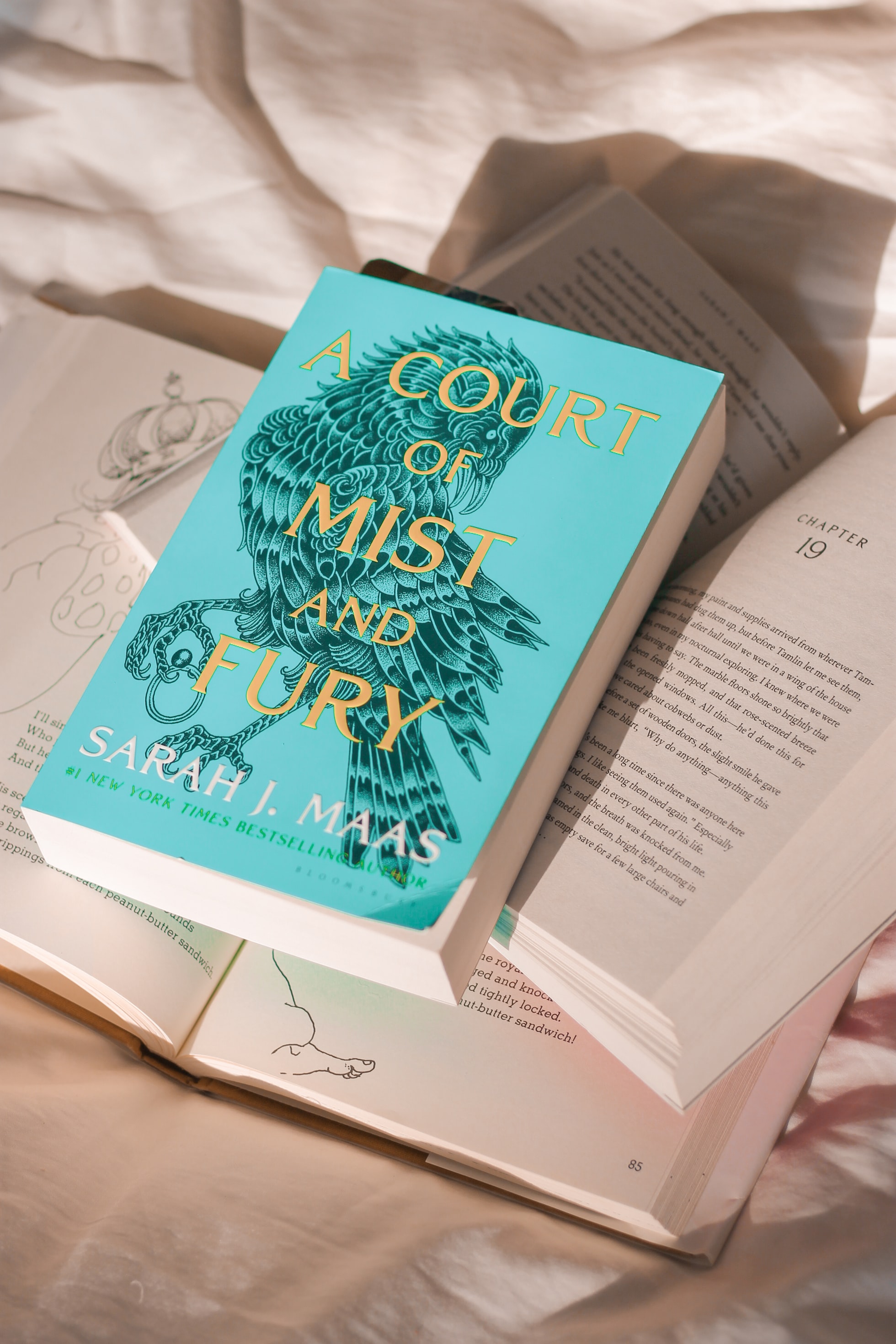 Fantasy - A court of mist and fury